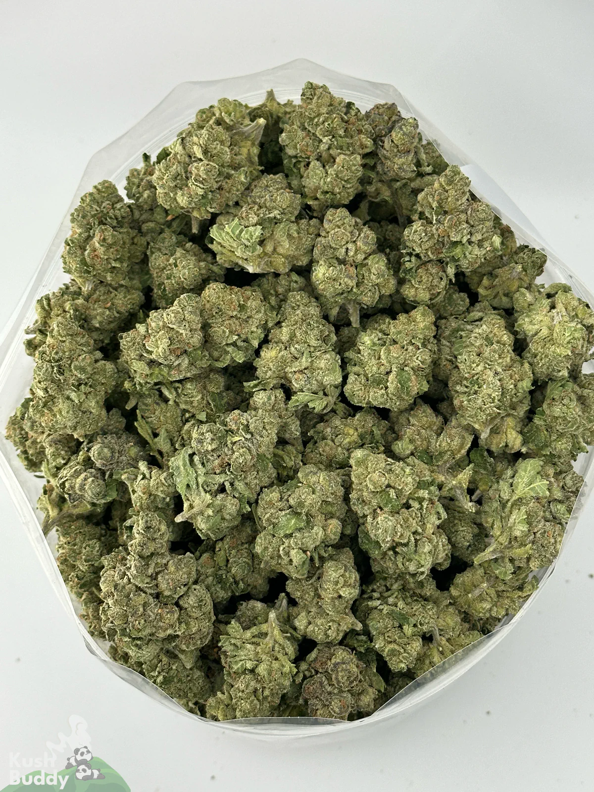 White Widow small buds shown together