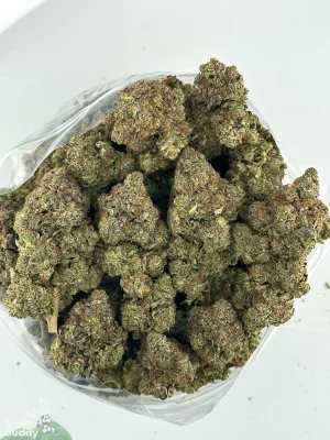 Black Series - Bulk - Zombie Kush OG (LSO)