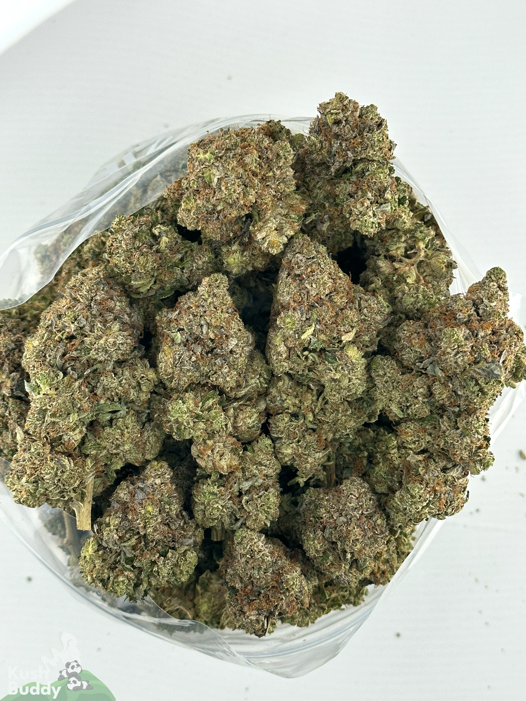 Black Series - Bulk - Zombie Kush OG (LSO)