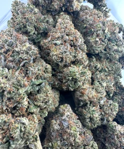 Black Series - Bulk - Zombie Kush OG (LSO) - Image 2