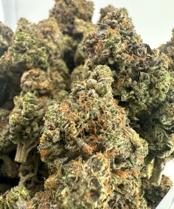 Black Series - Bulk - Zombie Kush OG (LSO) - Image 3