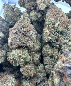 Black Series - Bulk - Zombie Kush OG (LSO) - Image 4