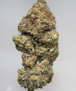 Black Series - Zombie Kush OG (LSO)