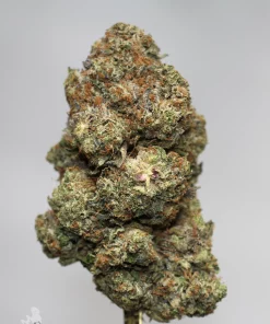 Black Series - Bulk - Zombie Kush OG (LSO) - Image 6