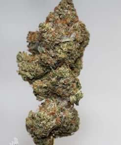 Black Series - Bulk - Zombie Kush OG (LSO) - Image 7