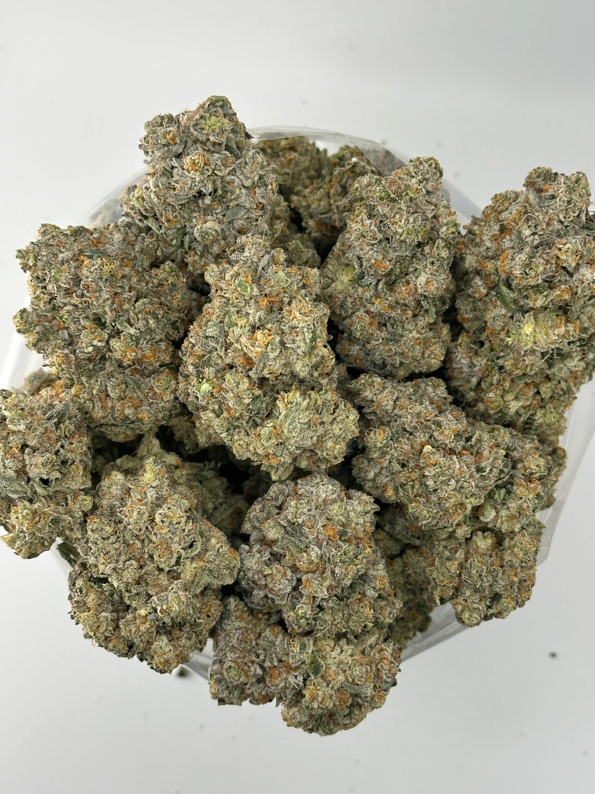 (AAAA - Bulk) SaWaDiKa Sunset - Image 3